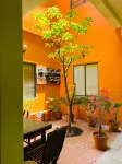 Chi Hieu Homestay Hotels in Phuong 1