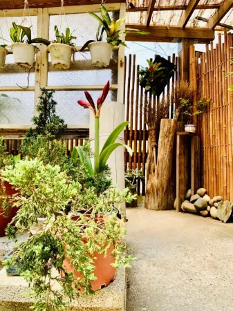 Jia's Homestay Отели рядом с достопримечательностью «Wangyou Forest»