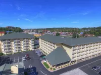 Comfort Inn & Suites at Dollywood Lane Hotel in zona The Barking Boutique