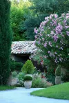 Auberge la Feniere Hotels in Cadenet