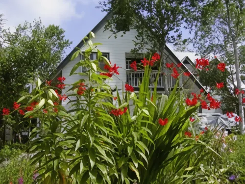 Pension Prince Edward - 2 Yıldız