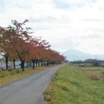 Attamariland Fukabori Niji No Yakata Hotels in Oishida