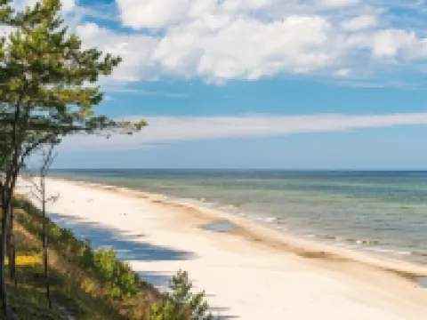 迪茲諾夫河景泳池公寓 迪茲沃夫住宿飯店