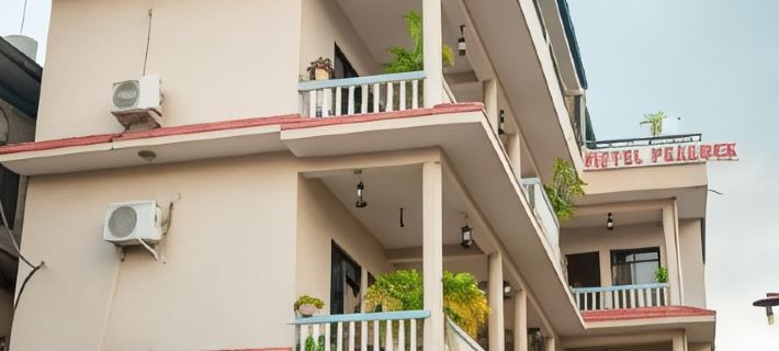Peacock - a Family-Run Hotel Hotels in Sauraha
