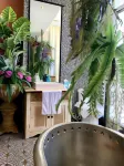 Anna King Hotel - Pet friendly