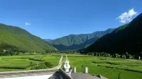 Weixi Chujinju Homestay