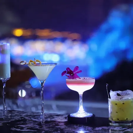Li River Purejoy Hotel Guilin (Elephant hill Park and TwoRiver & FourLake landscape)