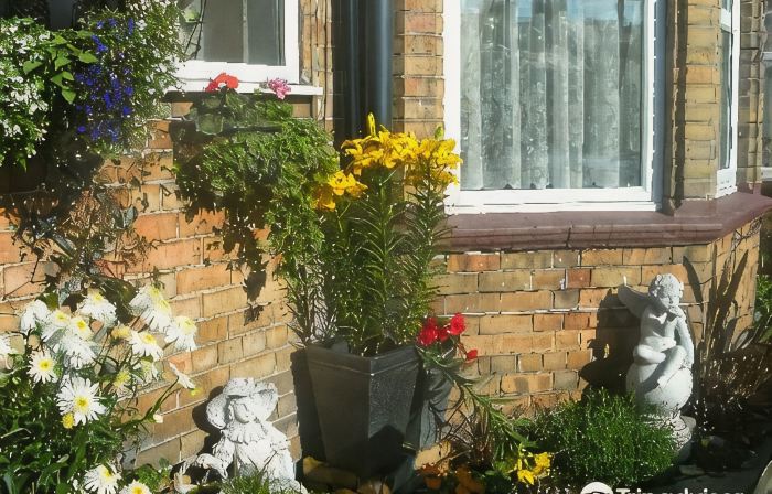 Jasmine Guest House