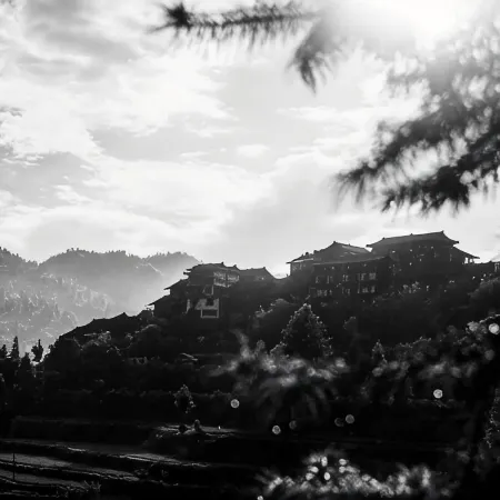 Wangshan Yinsu