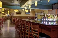 NIAGARA FALLSVIEW HOTEL by IHG - バー