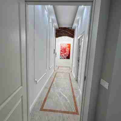 Newly renovated apartment, 10 minutes from the historic center and station. Others