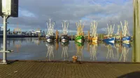 North Sea coast on a natural beach! - Wi-Fi