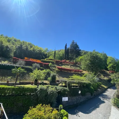 Bellagio Bed & Breakfast