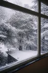 The Coverpage Boutique Stays Mussoorie - Bergblick