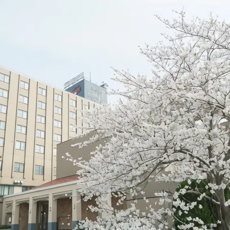 Nara Plaza Hotel