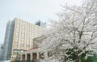 Nara Plaza Hotel - parking