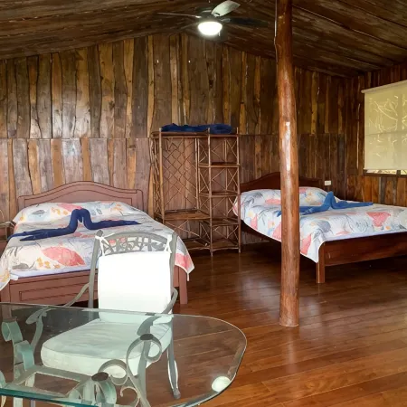 Fabulous 4Bd/4BA at Low Rates, Views, Pool, Wifi, Near Beaches, Cafes, Dominical