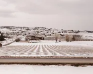 NEW Luxury Home, Garden City, Bear Lake, 15 Bed, IDEAL BEACH ACCESS - Wifi