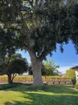 A classic ranch house, reinterpreted. - 4-Star