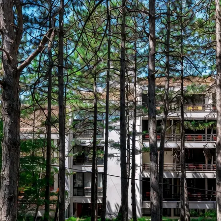 Hotel Pela