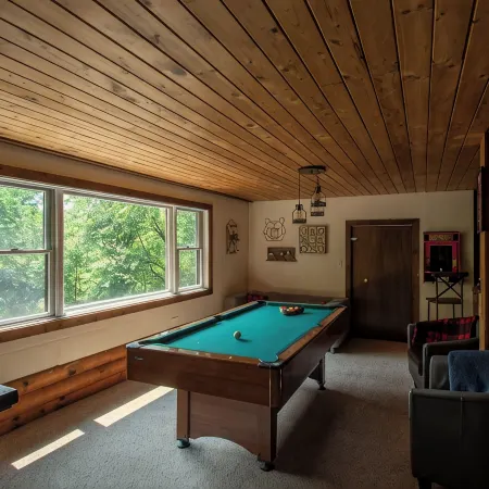 Cozy Cabin tucked in the woods. Pet-Friendly! 7 minutes from Ellicotville!