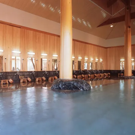 Tateyama Prince Hotel