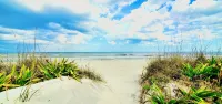 Beach Cottage I,  near the beach, TPC Sawgrass, Mayo Clinic, & Ponte Vedra Beach