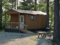 Handicap-Accessible Cabin Near Kirby Landing & Lake Greeson – Pet-Friendly Hotels in Pike County