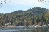 Lake cabin w/ big pines close to lake and village - 3-نجوم