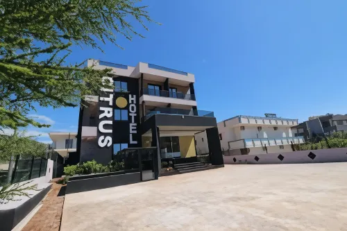Hotel Citrus - bar