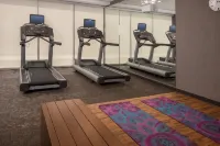 Fairfield Inn & Suites Richmond Ashland - Gym