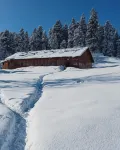 Roseland Cottage , Gulmarg