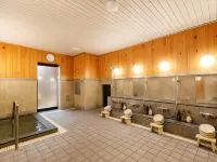 Miyazaki Lions Hotel - Hot Springs