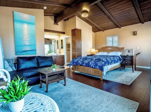 Studio Suite with Private, Secured Entrance, No Shared Spaces, Driveway Parking - Homestays