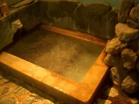 Hagakurekan - Hot Springs
