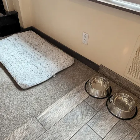 Huge & Stylish 5bd3ba Close to Denver & Boulder! Dog friendly!