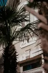 Hôtel le Rivage Vue Sur Mer - Châtelaillon-Plage - Wifi