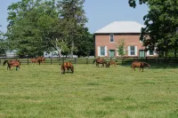 Renovated train station on thoroughbred horse farm. - Wifi