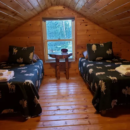 Remote cabin on 40 acres with wildlife and no distractions.