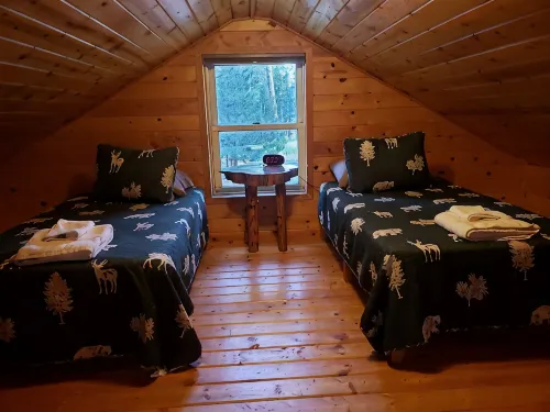 Remote cabin on 40 acres with wildlife and no distractions. - 2-Star