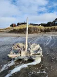 Cozy beach condo with ocean access. Easy drive to Santa Cruz or Monterey. - Wifi