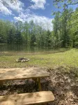Cabin where the black top ends… Cabin 2 - Hytter