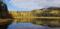 The Cozy Cabin....Walk to Brighton ski slopes! - Hytter