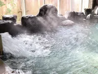 Gujo Vacance Mura Hotel - Hot Springs