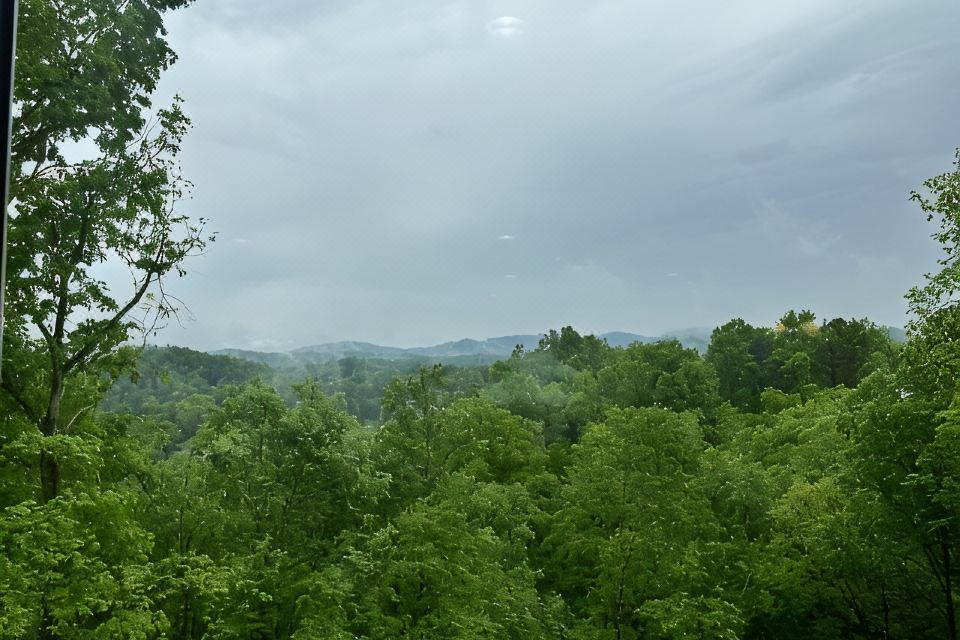 Photo 6 of 6