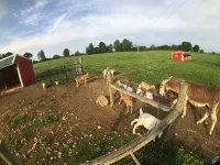 Peace and quiet of country living within minutes of city amenities. - 3 stjerner