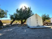 Panamint Springs Motel & Tents - 2-Star