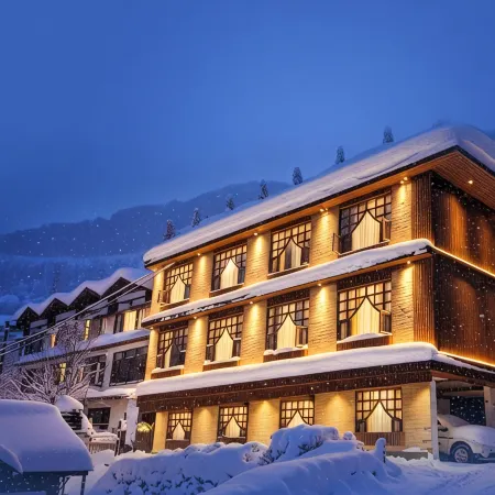 HOTEL VINTAGE Hotels in Manali