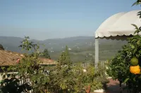 Albergo Villa Sorriso Hotels in Fiesole