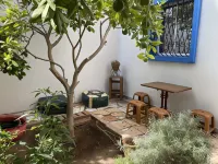 Red Carpet Surf Camp Sea, Mountain & Garden Escape Hotels in Tamraght Ouzdar